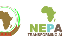 New Integrity Principles Seek to Unlock Green Finance in Africa’s Carbon Market